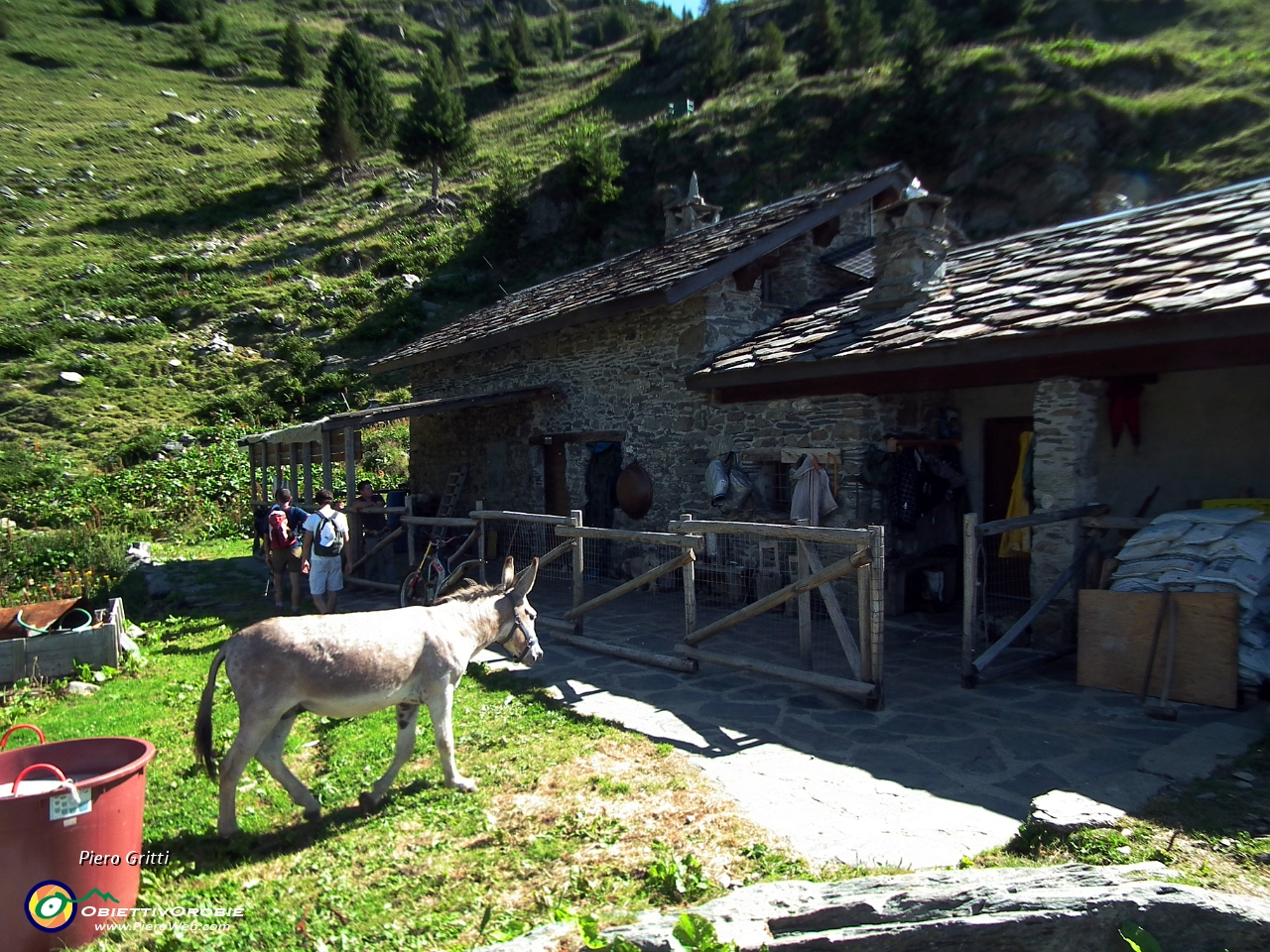 27 che lo riporta alla Casera Azzaredo (1795 m.) .JPG